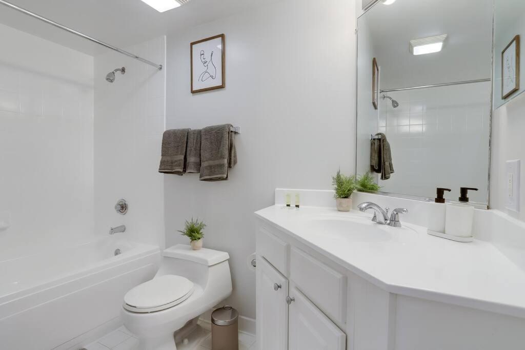 Apartment Gorgeous Ballston With Gym & Views Arlington