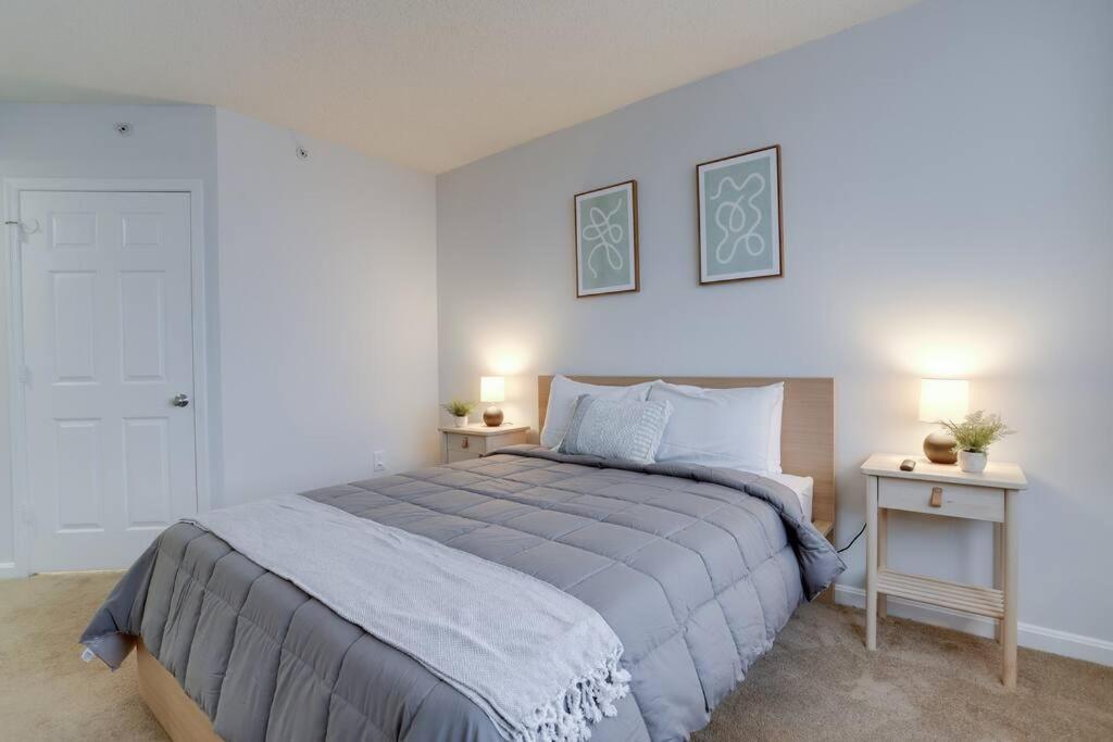 Gorgeous Ballston With Gym & Views Apartment